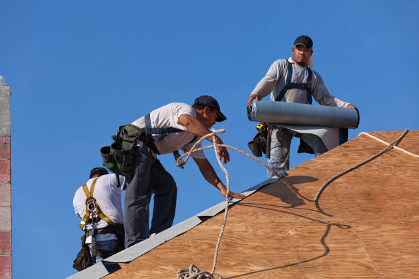 Best Local Roofing Companies  in Covelo, CA